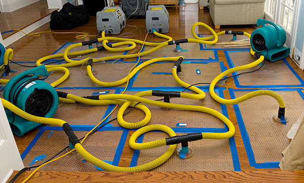 Professional Structural Drying And Dehumidification technician working in Seminole, TX